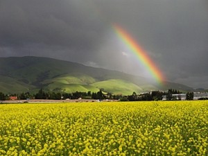 Fremont